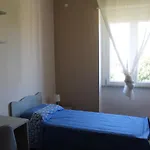 بيت ضيافة T-rooms *